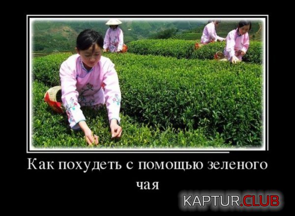 1423637238_demotivatory_01.jpg | Рено Каптур Клуб Россия | Форум KAPTUR.SU