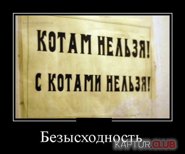 1423724686_demotivatory_04.jpg | Рено Каптур Клуб Россия | Форум KAPTUR.SU