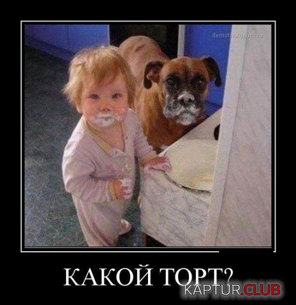 1423724755_demotivatory_26.jpg | Рено Каптур Клуб Россия | Форум KAPTUR.SU