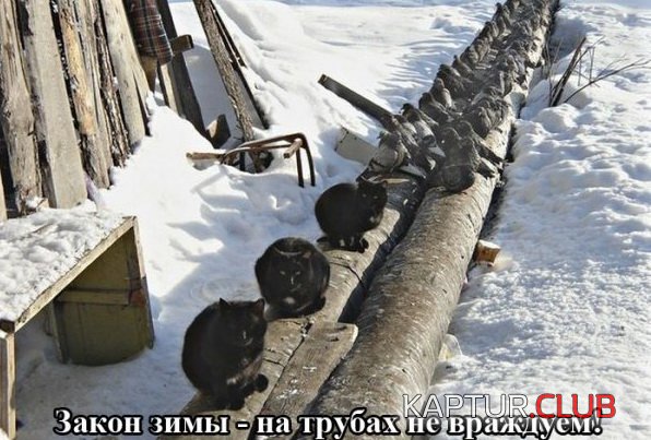 1424068192_podborka_02.jpg | Рено Каптур Клуб Россия | Форум KAPTUR.SU