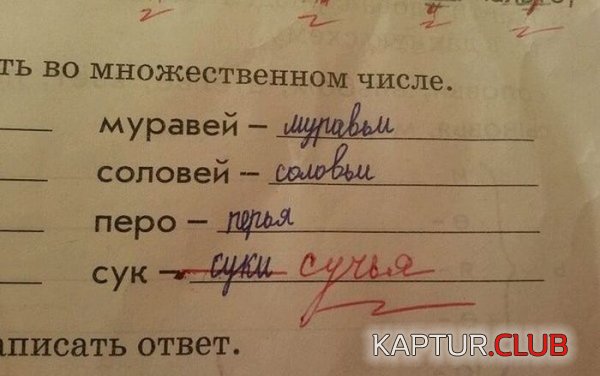1424068680_podborka_78.jpg | Рено Каптур Клуб Россия | Форум KAPTUR.SU