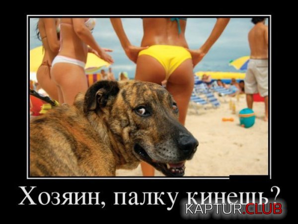 1424159228_demotivatory_18.jpg | Рено Каптур Клуб Россия | Форум KAPTUR.SU