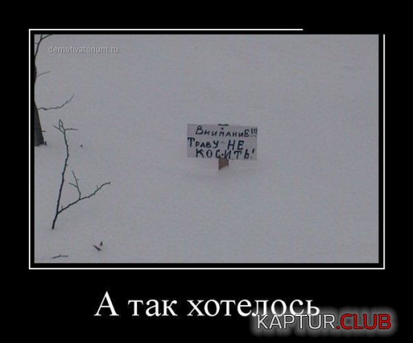 1424677343_demotivatory_17.jpg | Рено Каптур Клуб Россия | Форум KAPTUR.SU