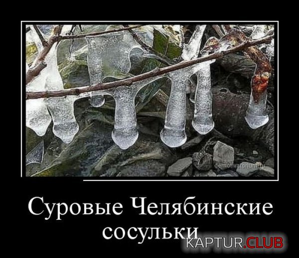 1424772503_demotivatory_10.jpg | Рено Каптур Клуб Россия | Форум KAPTUR.SU