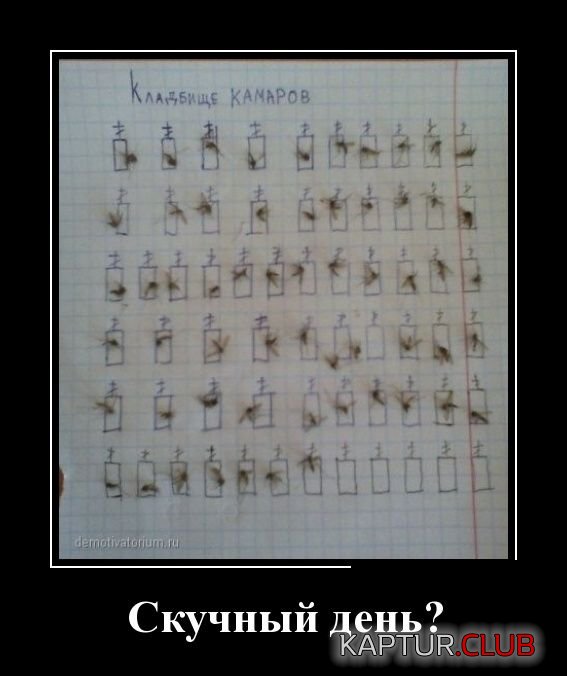 1424772542_demotivatory_09.jpg | Рено Каптур Клуб Россия | Форум KAPTUR.SU