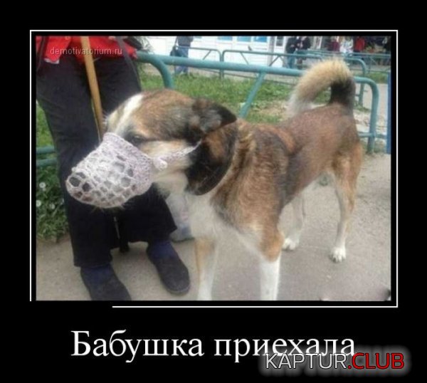 1424772589_demotivatory_24.jpg | Рено Каптур Клуб Россия | Форум KAPTUR.SU
