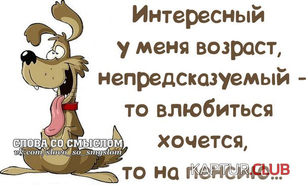 14247a81cb0e6ad572650d5e522.jpg | Рено Каптур Клуб Россия | Форум KAPTUR.SU