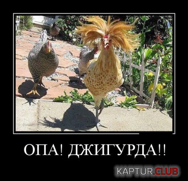 1425019879_demotivatory_16.jpg | Рено Каптур Клуб Россия | Форум KAPTUR.SU