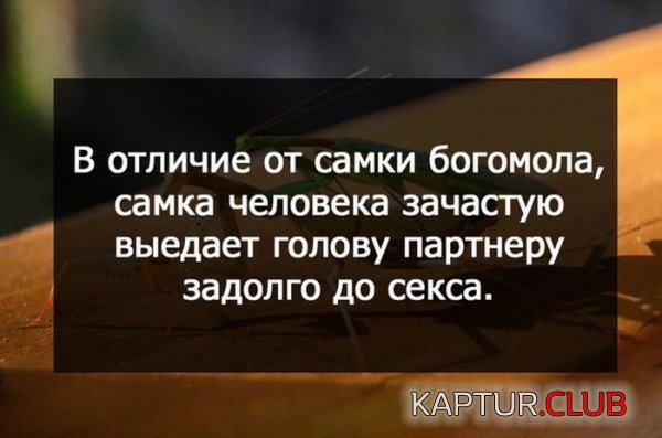 1425020974_podborka_93.jpg | Рено Каптур Клуб Россия | Форум KAPTUR.SU