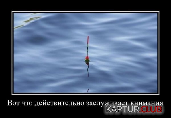 1425454505_demotivatory_24.jpg | Рено Каптур Клуб Россия | Форум KAPTUR.SU