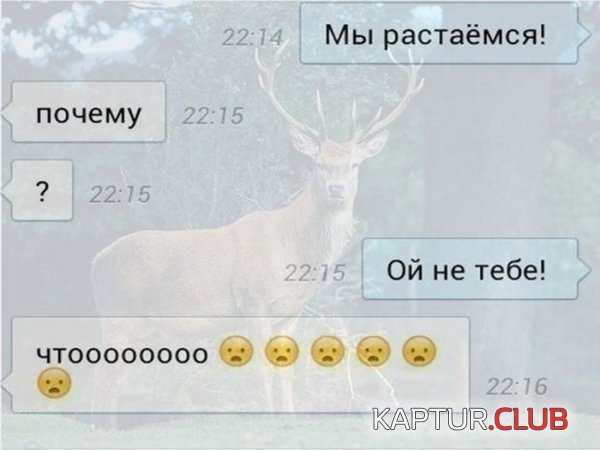 1425972766_podborka_90.jpg | Рено Каптур Клуб Россия | Форум KAPTUR.SU
