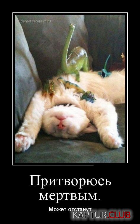 1426492081_demotivatory_27.jpg | Рено Каптур Клуб Россия | Форум KAPTUR.SU
