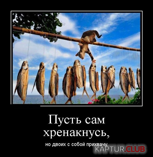 1426756671_demotivatory_19.jpg | Рено Каптур Клуб Россия | Форум KAPTUR.SU