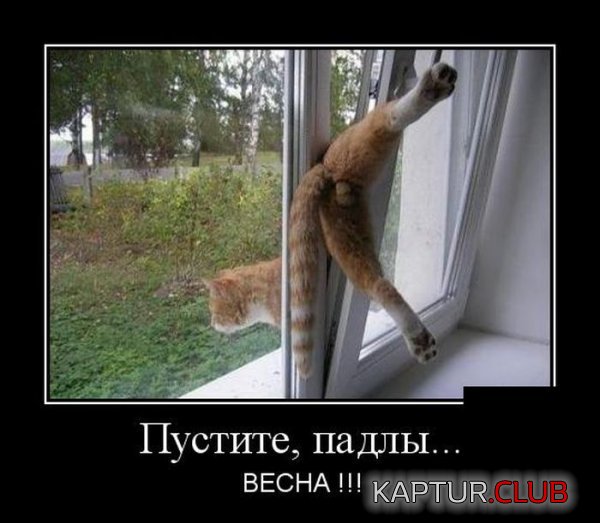 1426845554_demotivatory_26.jpg | Рено Каптур Клуб Россия | Форум KAPTUR.SU