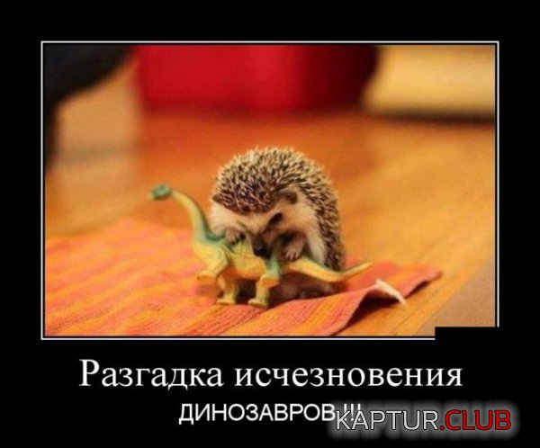 1428998694_demotivatory_05.jpg | Рено Каптур Клуб Россия | Форум KAPTUR.SU