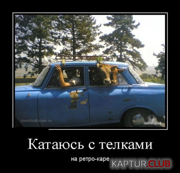 1429167420_demotivatory_14.jpg | Рено Каптур Клуб Россия | Форум KAPTUR.SU