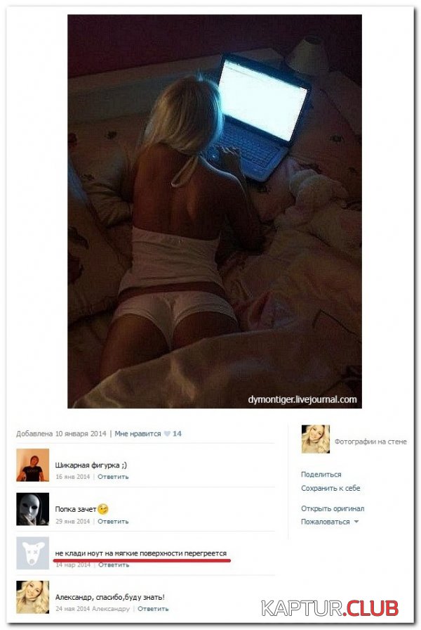 1429949103_setey-socialnyh-kommentarii-citaty-vkontakte-vkontakte-smeshnye-statusy_935528528.jpg | Рено Каптур Клуб Россия | Форум KAPTUR.SU