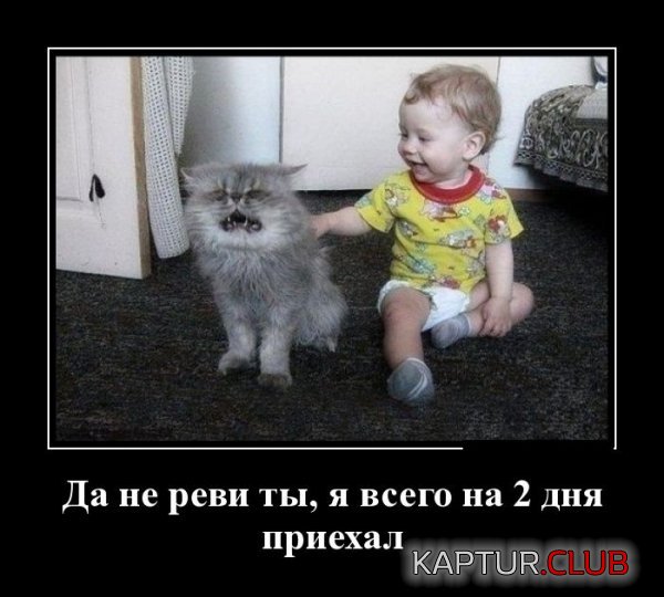 1430810770_demotivatory_07.jpg | Рено Каптур Клуб Россия | Форум KAPTUR.SU