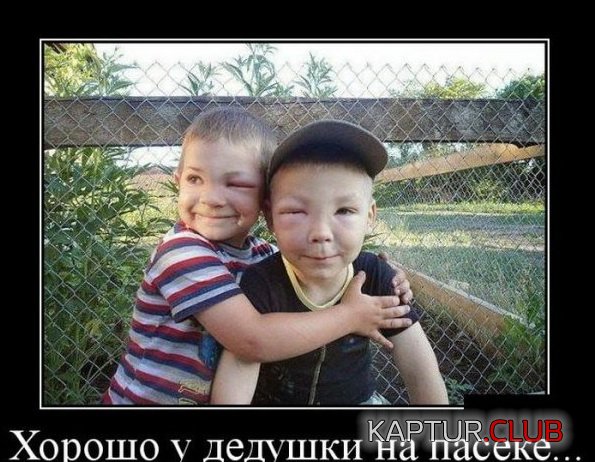 1430992434_demotivatory_29.jpg | Рено Каптур Клуб Россия | Форум KAPTUR.SU