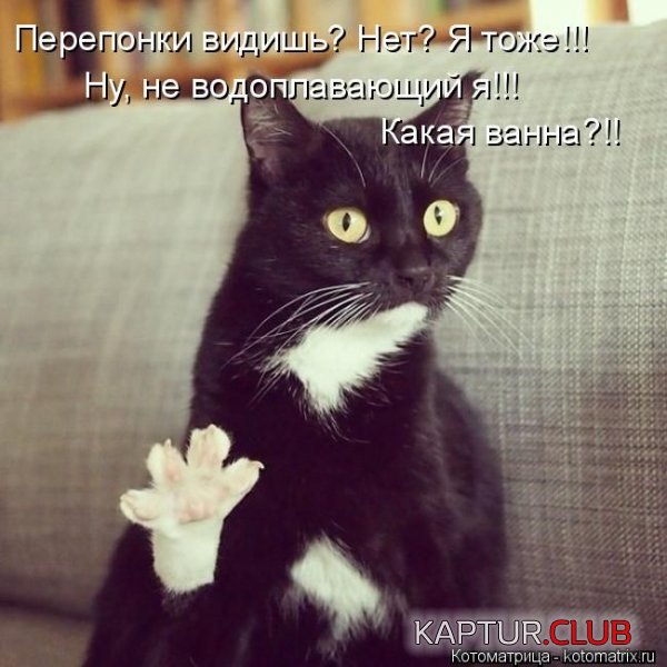 1431066520_kotomatrix_01.jpg | Рено Каптур Клуб Россия | Форум KAPTUR.SU