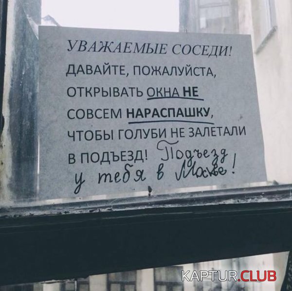 1432106684_marazmi_26.jpg | Рено Каптур Клуб Россия | Форум KAPTUR.SU