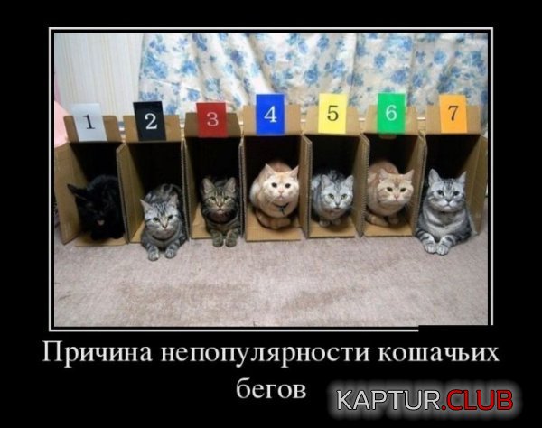 1433148234_demotivatory_04.jpg | Рено Каптур Клуб Россия | Форум KAPTUR.SU