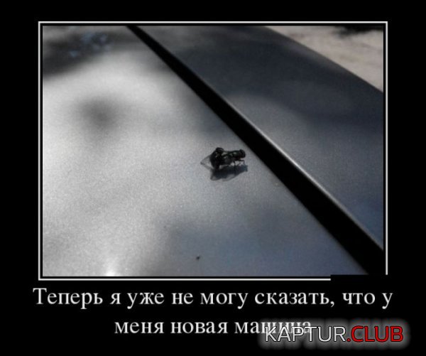 1434444689_demotivatory_11.jpg | Рено Каптур Клуб Россия | Форум KAPTUR.SU