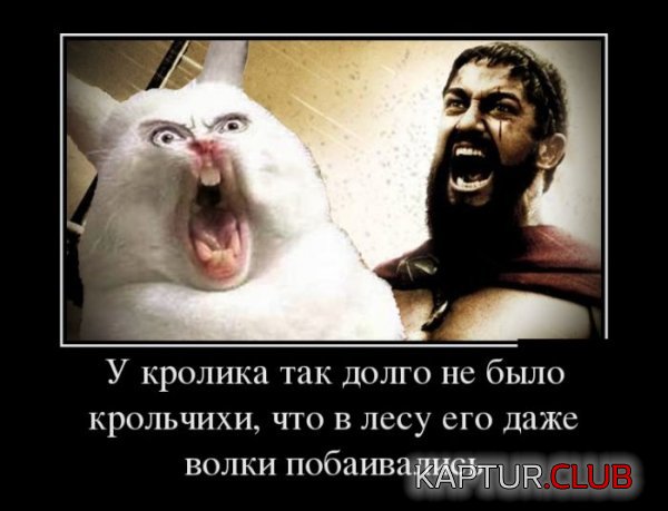 1434537612_demotivatory_04.jpg | Рено Каптур Клуб Россия | Форум KAPTUR.SU