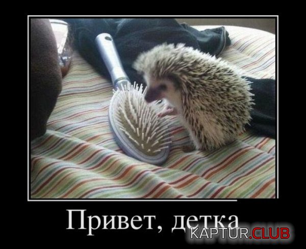 1436166655_demotivatory_21.jpg | Рено Каптур Клуб Россия | Форум KAPTUR.SU