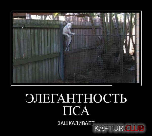 1436166682_demotivatory_26.jpg | Рено Каптур Клуб Россия | Форум KAPTUR.SU