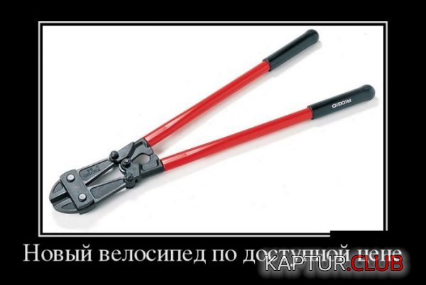 1436253217_demotivatory_10.jpg | Рено Каптур Клуб Россия | Форум KAPTUR.SU