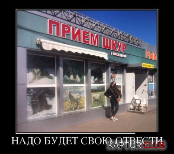1436253284_demotivatory_28.jpg | Рено Каптур Клуб Россия | Форум KAPTUR.SU