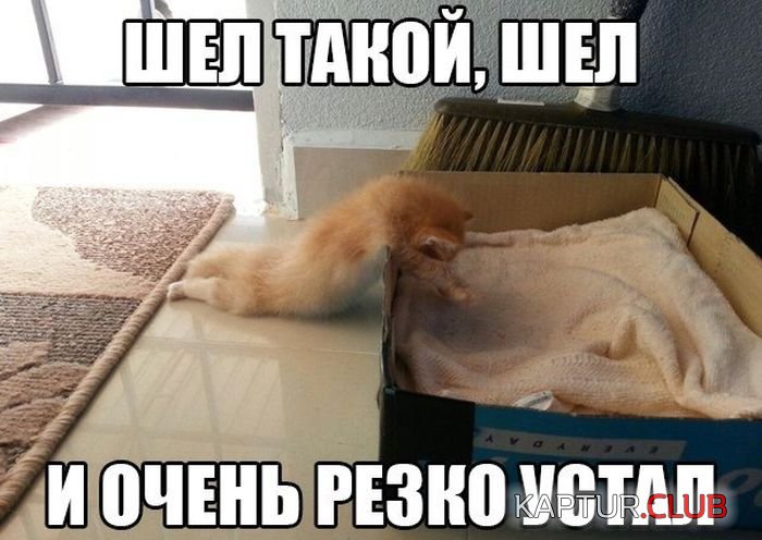 1439486983_podborka_09.jpg | Рено Каптур Клуб Россия | Форум KAPTUR.SU