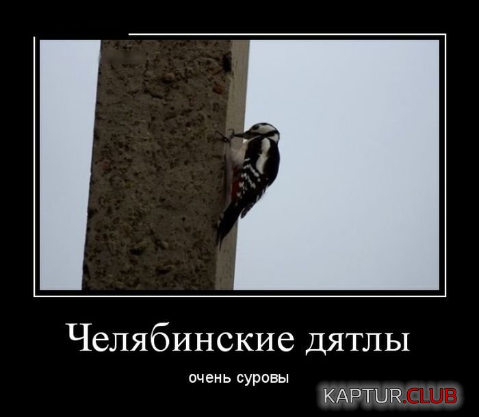 1440051541_demotivatory_09.jpg | Рено Каптур Клуб Россия | Форум KAPTUR.SU