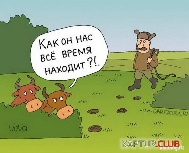 1443010226_042.jpg | Рено Каптур Клуб Россия | Форум KAPTUR.SU