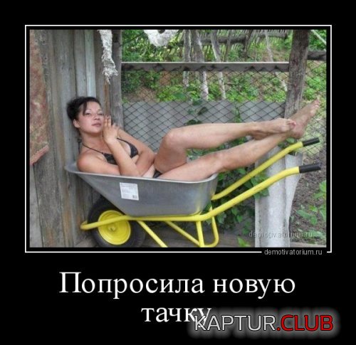1446016043_demotivatory-9.jpg | Рено Каптур Клуб Россия | Форум KAPTUR.SU