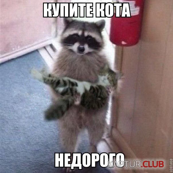 1449556670_22.jpg | Рено Каптур Клуб Россия | Форум KAPTUR.SU
