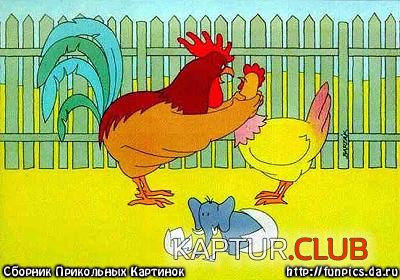 1459.JPG | Рено Каптур Клуб Россия | Форум KAPTUR.SU