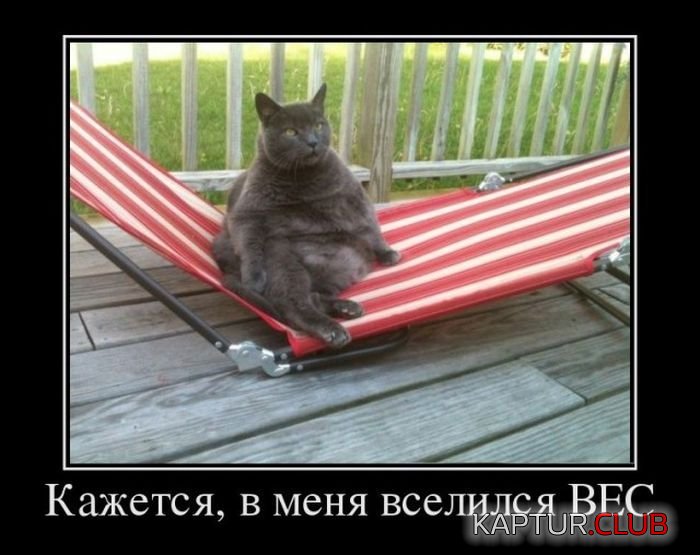 1463727754_demotivatory_01.jpg | Рено Каптур Клуб Россия | Форум KAPTUR.SU