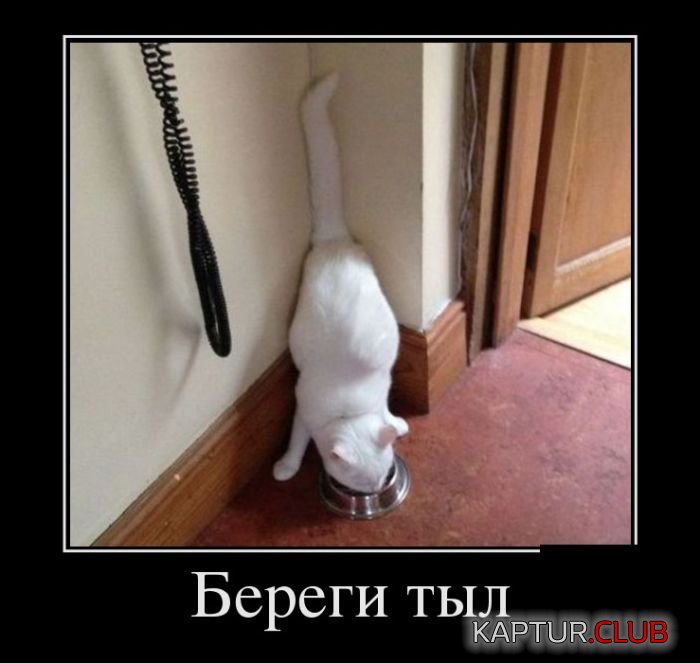 1463727774_demotivatory_10.jpg | Рено Каптур Клуб Россия | Форум KAPTUR.SU