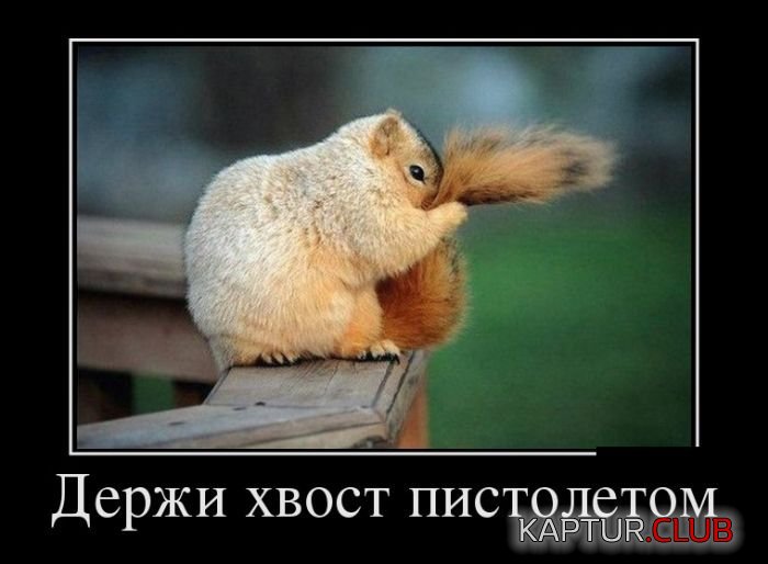 1463727797_demotivatory_09.jpg | Рено Каптур Клуб Россия | Форум KAPTUR.SU