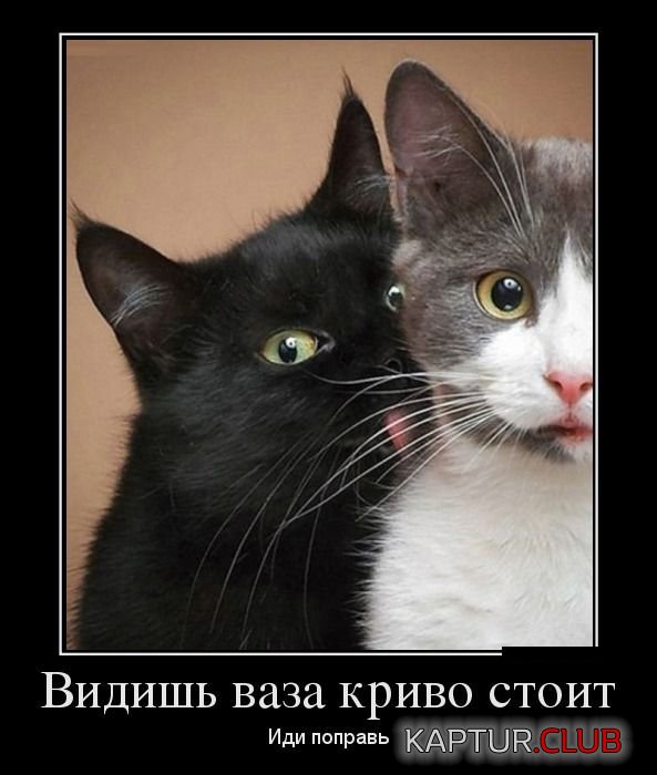 1464076778_demotivatory_05.jpg | Рено Каптур Клуб Россия | Форум KAPTUR.SU