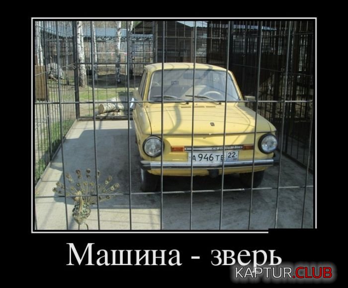 1464076839_demotivatory_20.jpg | Рено Каптур Клуб Россия | Форум KAPTUR.SU