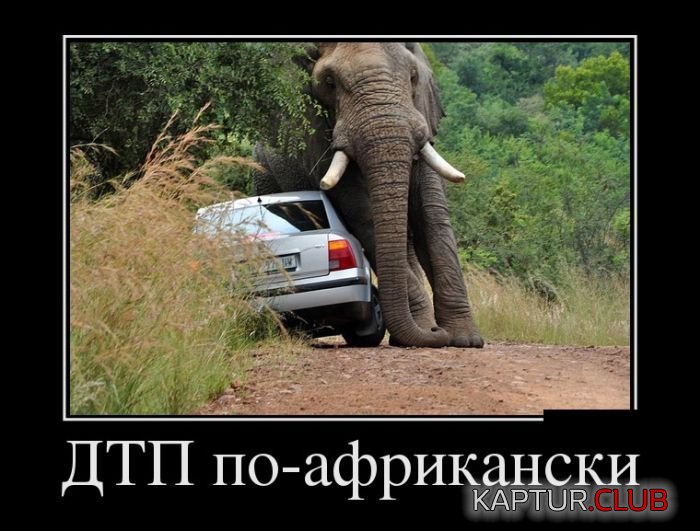1468918530_demotivatory_01.jpg | Рено Каптур Клуб Россия | Форум KAPTUR.SU