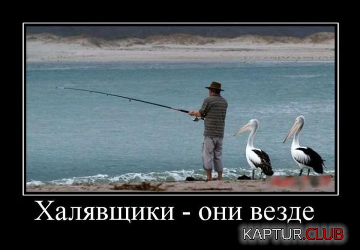 1469007914_demotivatory_30.jpg | Рено Каптур Клуб Россия | Форум KAPTUR.SU