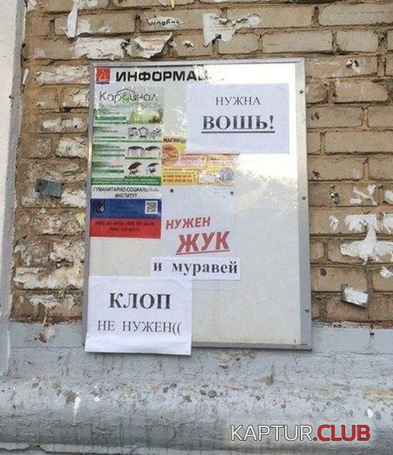 1469615497_podborka_reklami_17.jpg | Рено Каптур Клуб Россия | Форум KAPTUR.SU