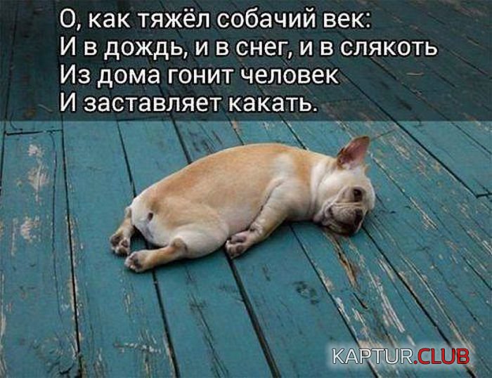 1471681912_podborka_dnevnya_42.jpg | Рено Каптур Клуб Россия | Форум KAPTUR.SU