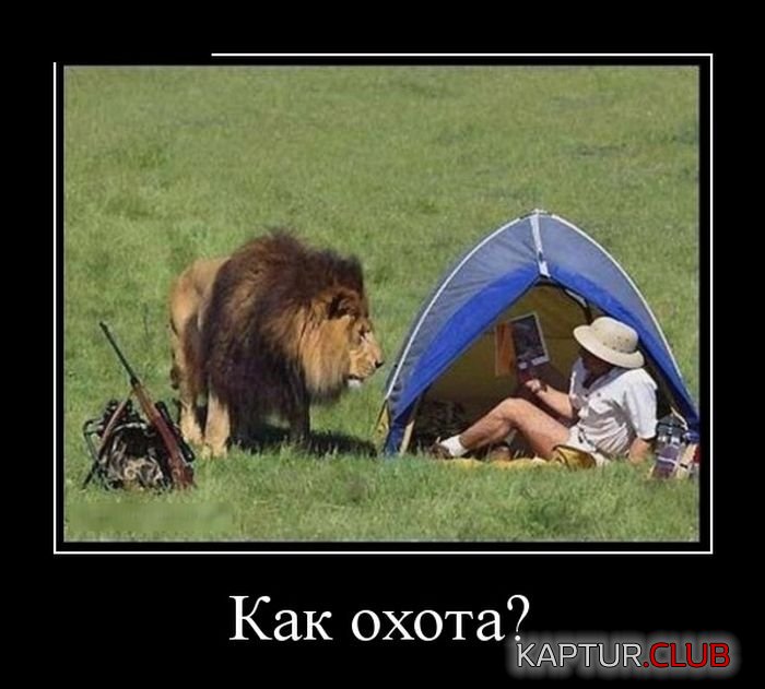 1472452152_demotivatory_18.jpg | Рено Каптур Клуб Россия | Форум KAPTUR.SU