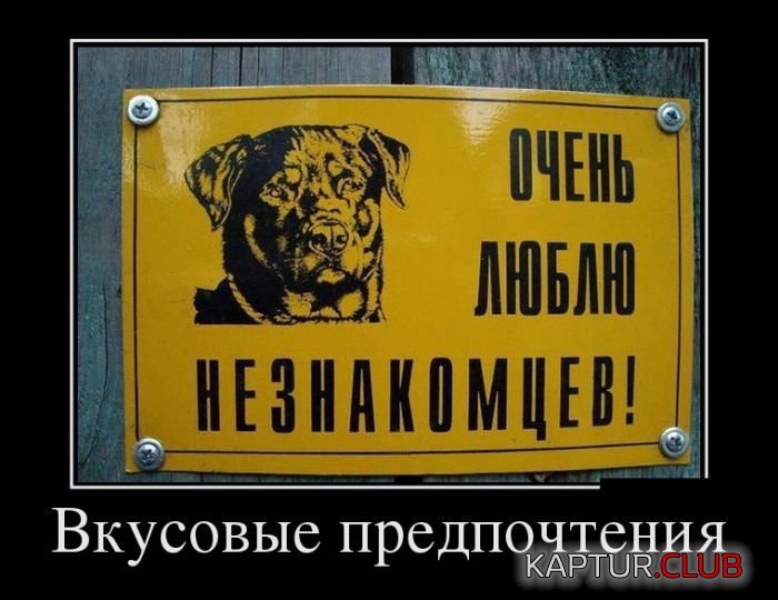 1472725852_demotivatory_01.jpg | Рено Каптур Клуб Россия | Форум KAPTUR.SU