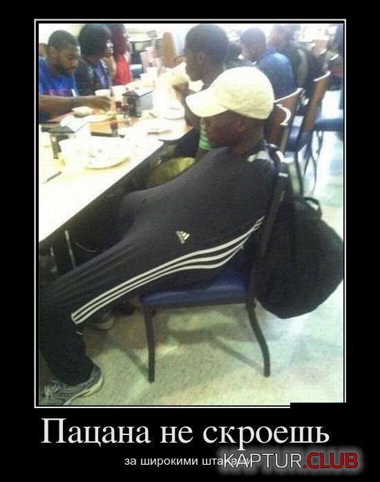 1473580003_demotivatory_09.jpg | Рено Каптур Клуб Россия | Форум KAPTUR.SU